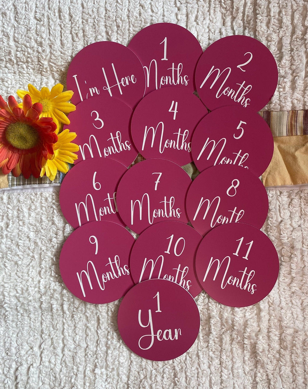 Baby Milestone Photo Prop