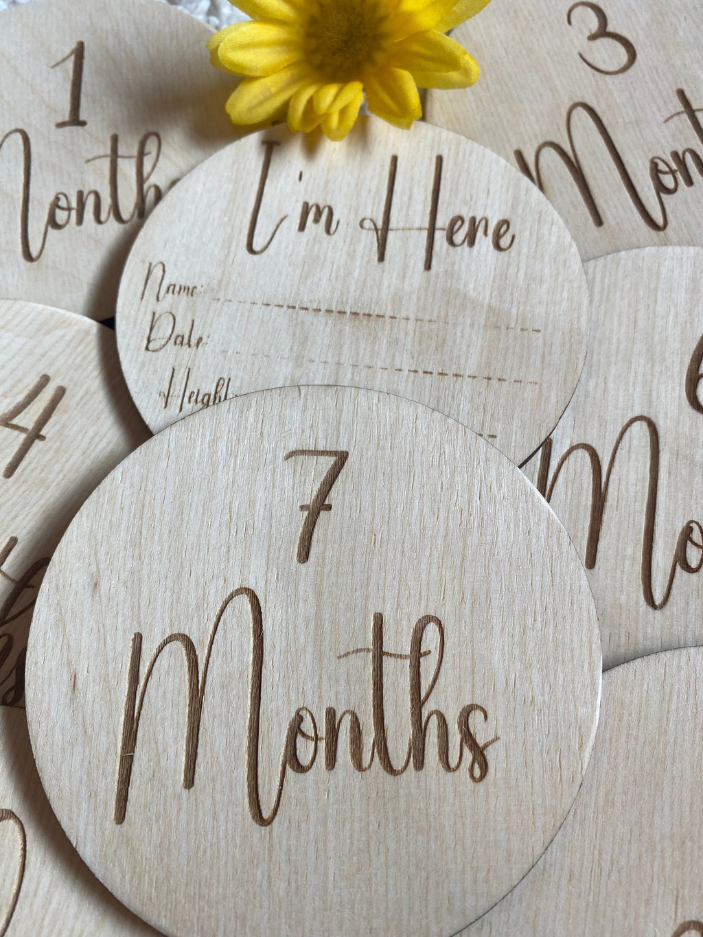 Baby Milestone Photo Prop