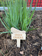 Wood Garden Row Markers