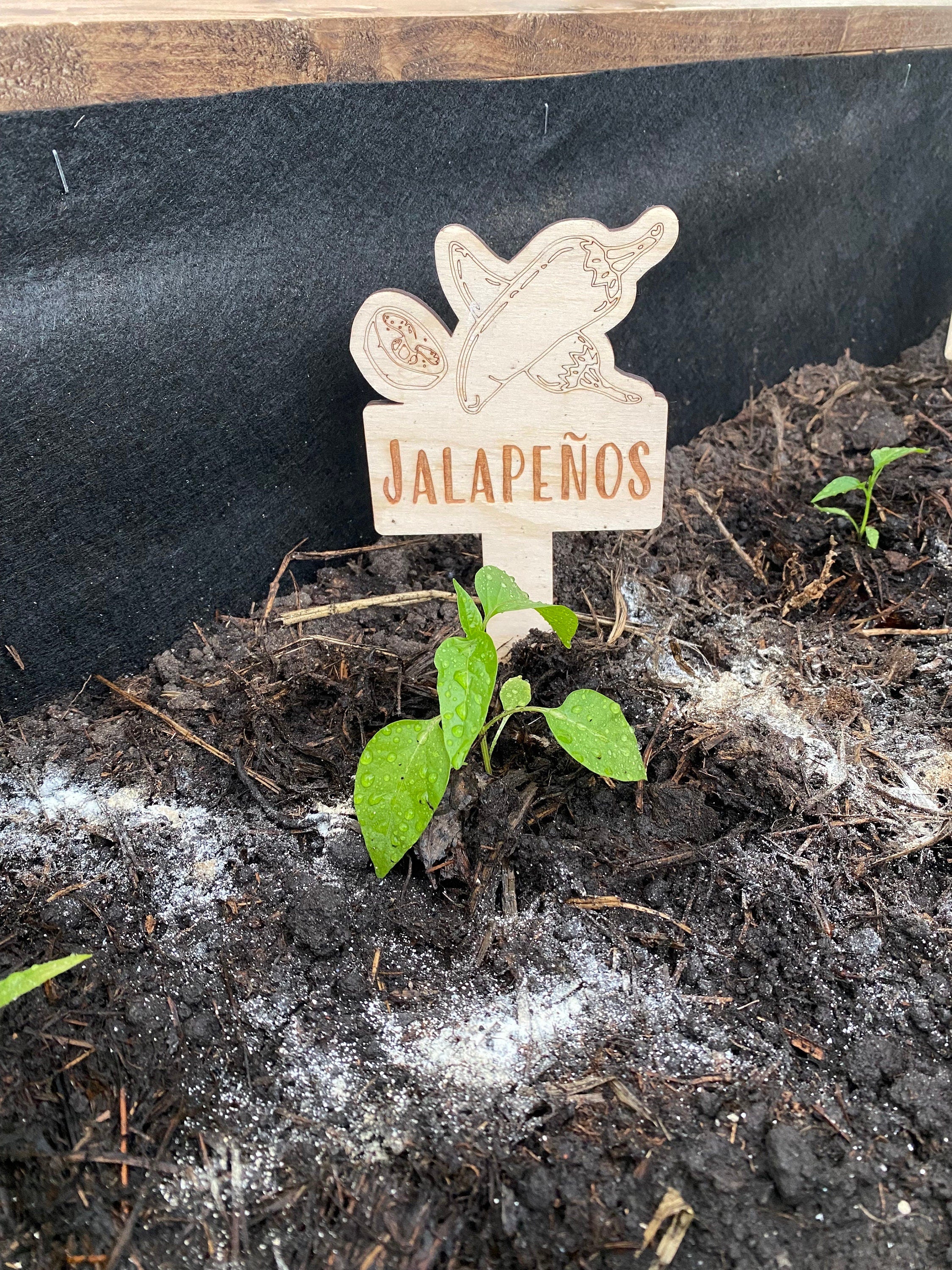 Wood Garden Row Markers